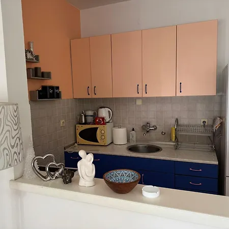 Apartment U Pasicevoj *
