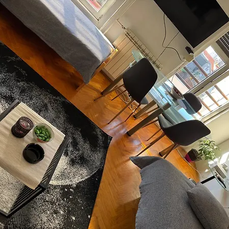 Apartment U Pasicevoj *